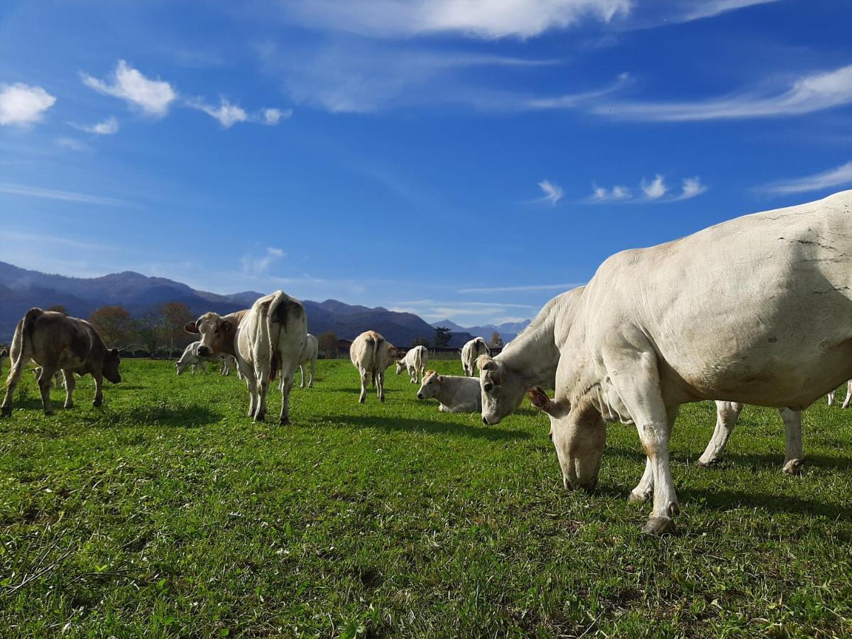 Agriturismo Fior Di Campo Dronero Luaran gambar