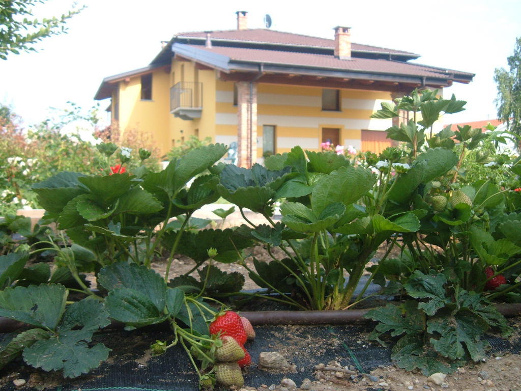 Agriturismo Fior Di Campo Dronero Luaran gambar